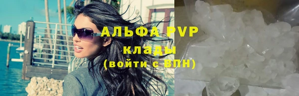 шишки Баксан