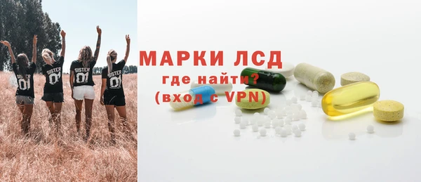 индика Балабаново