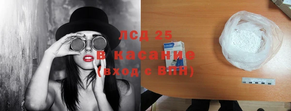 шишки Баксан