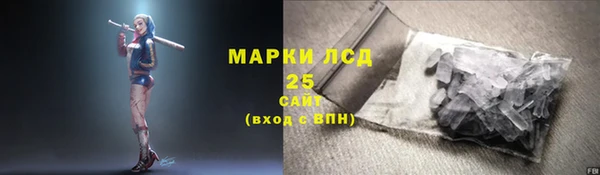 индика Балабаново