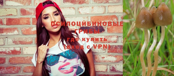 шишки Баксан