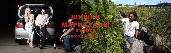 шишки Баксан