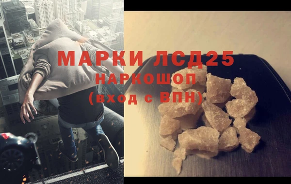 шишки Баксан