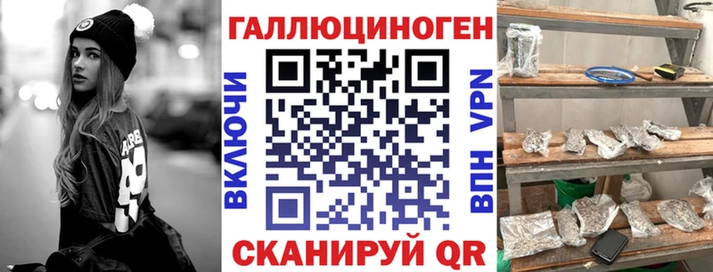 купить наркотики сайты  Кувандык  mega ССЫЛКА  Галлюциногенные грибы Psilocybe 