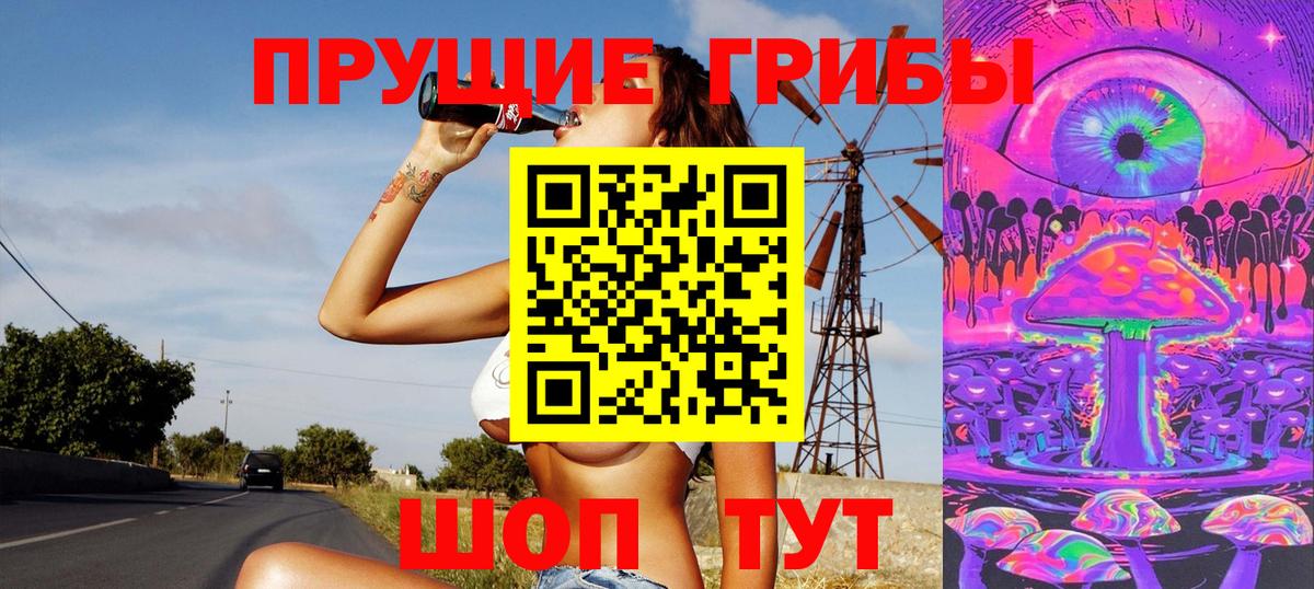 Кувандык  Псилоцибиновые грибы мицелий  Вход с VPN 